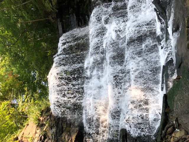 cool image I took